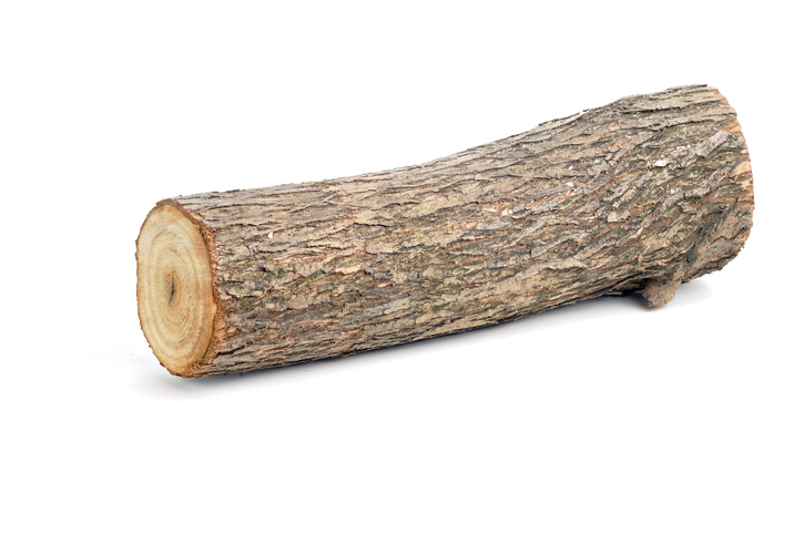 slimraw log