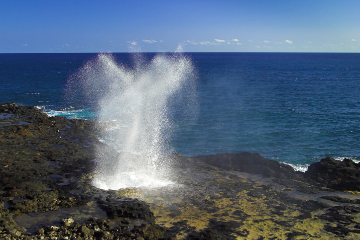 intermediate-word-of-the-day-spout-wordreference-word-of-the-day