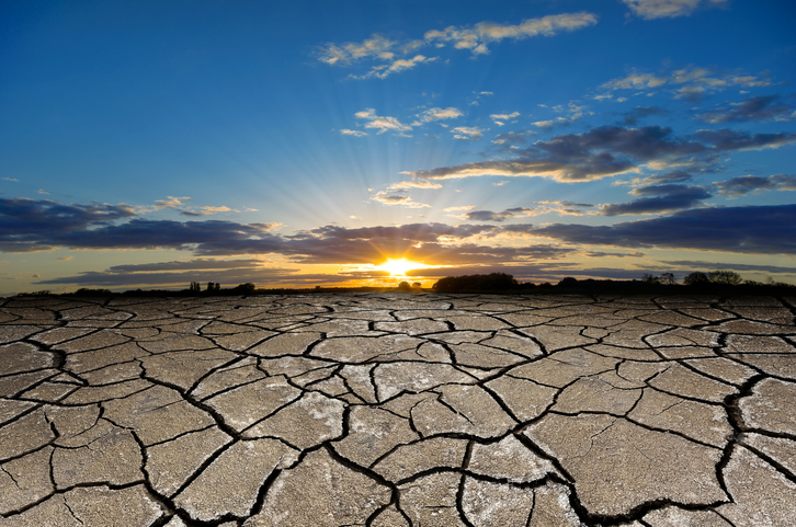 Basic+ Word of the Day: dry – WordReference Word of the Day